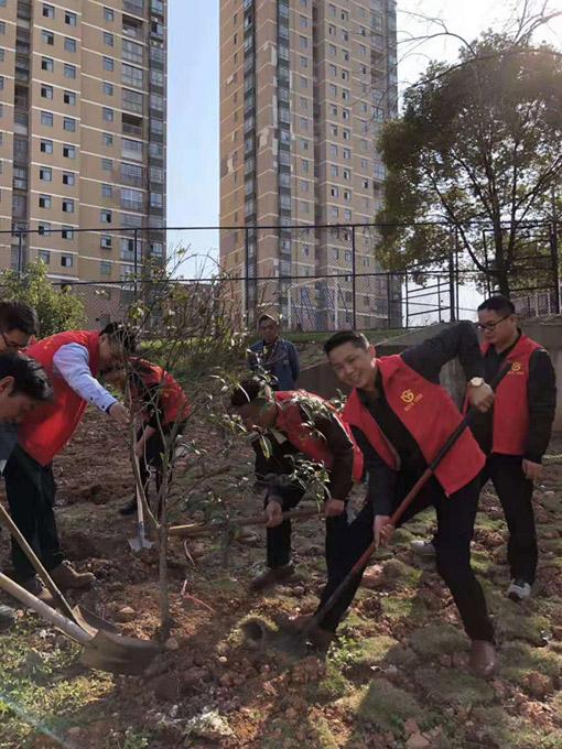 1624849779270958.jpg 201903131550033861.jpg