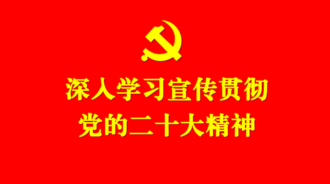 1669611954733910.jpg 1.jpg