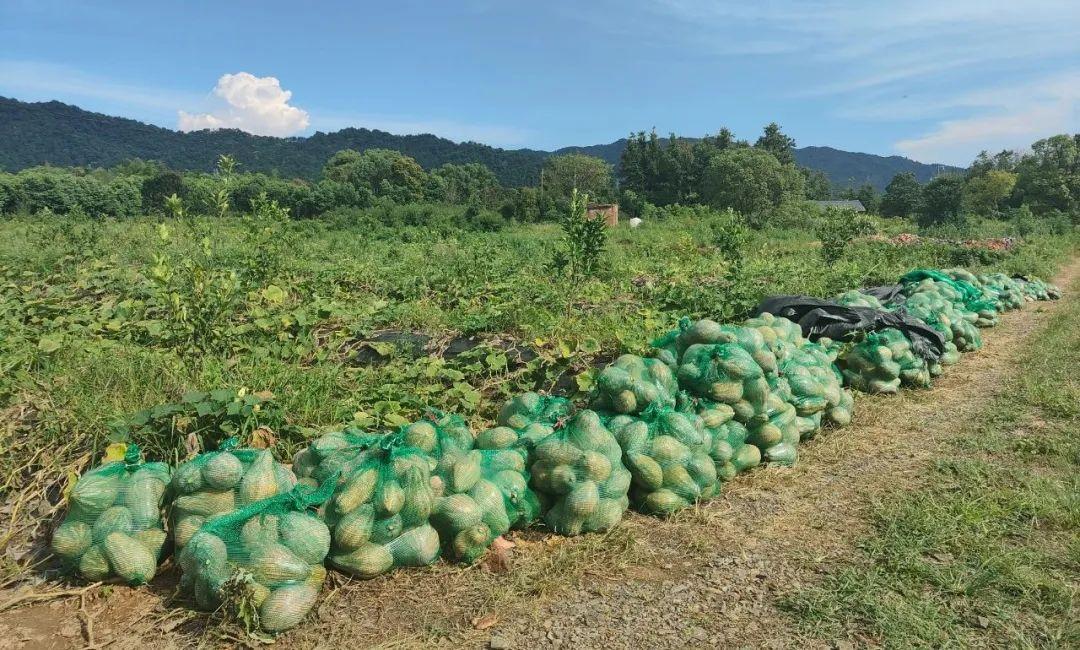 wps_doc_4.jpeg