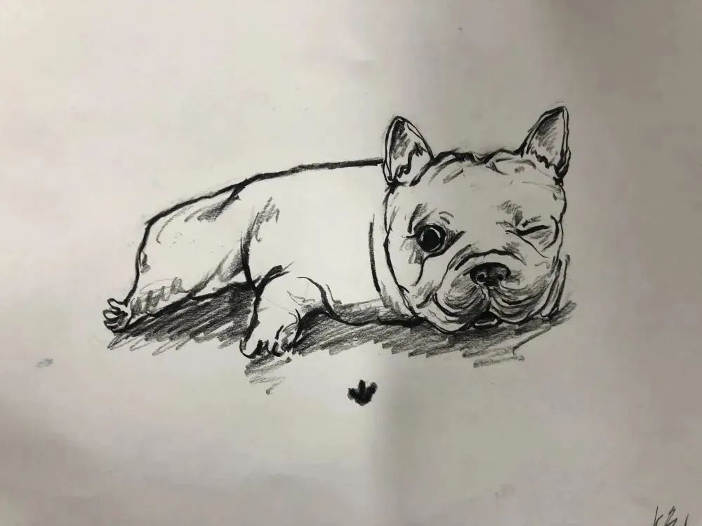 1692858598348315.jpg 7.jpg