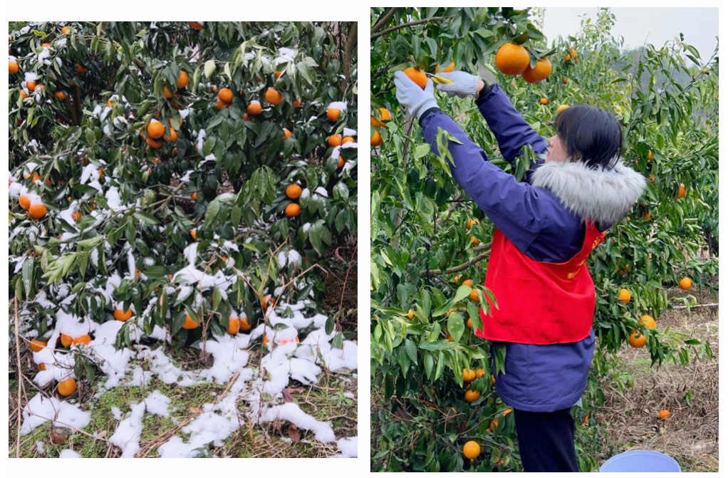 联想截图_20240228145139.png