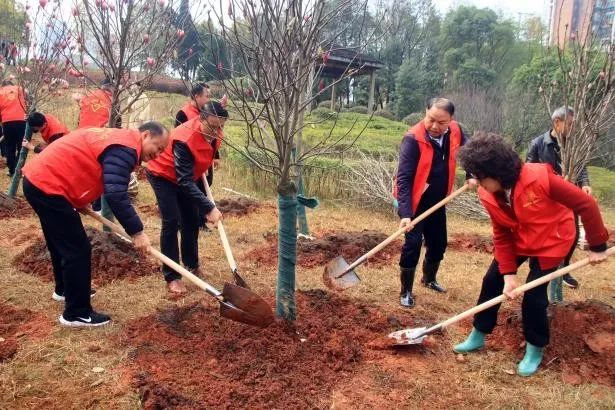 1742171999319812.jpg 1742171999319812.jpg