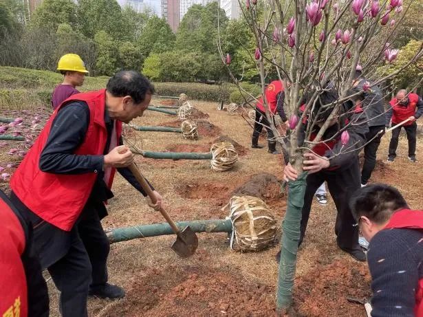 1742172078320976.jpg 1742172078320976.jpg