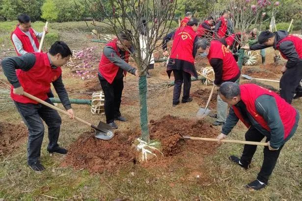 1742172128188060.jpg 1742172128188060.jpg