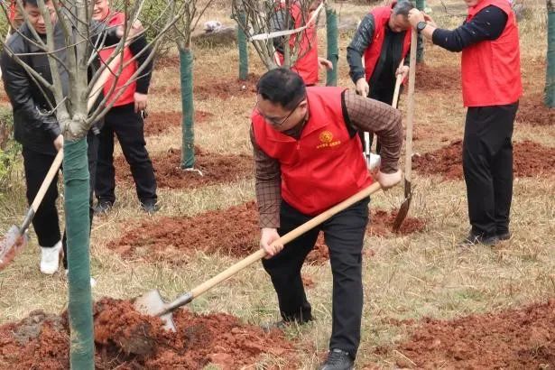 1742172163571444.jpg 1742172163571444.jpg