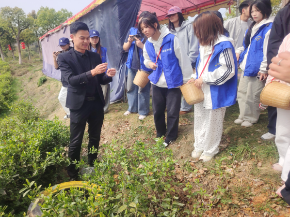 1744111694733396.png f14187f5416a3efdd2cfb4fdd9cbb572.png