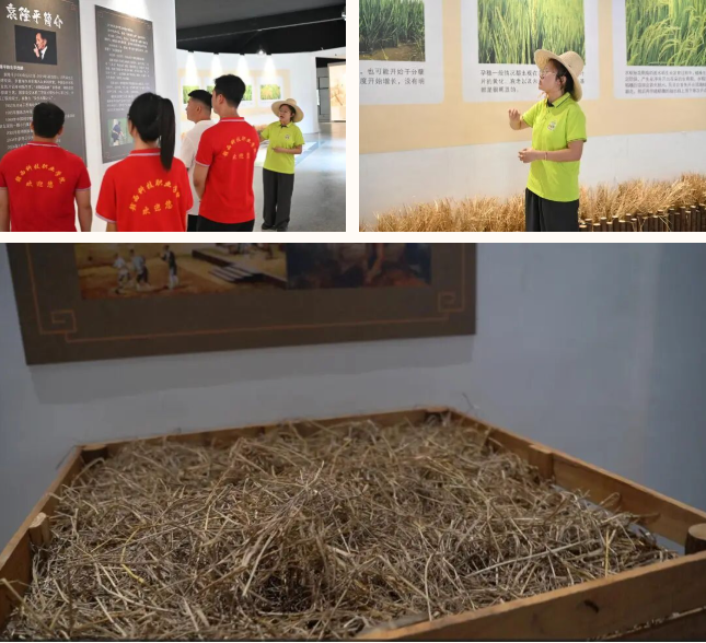 1760599269887864.png image.png