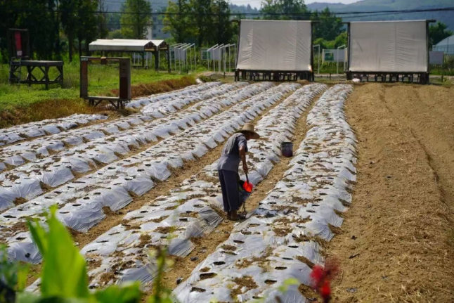 1760599479767520.png image.png