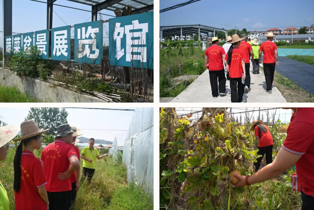 1760599508711895.png image.png