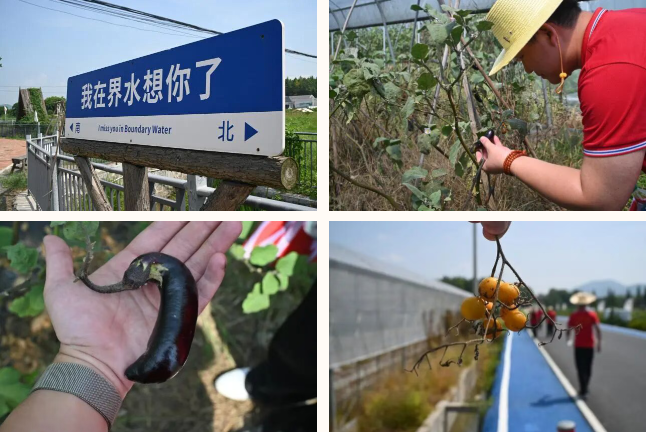 1760599525527747.png image.png