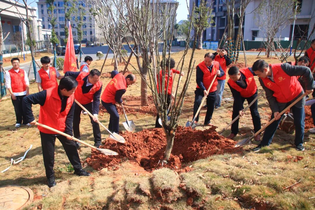 1773883335825306.jpg 1773883335825306.jpg