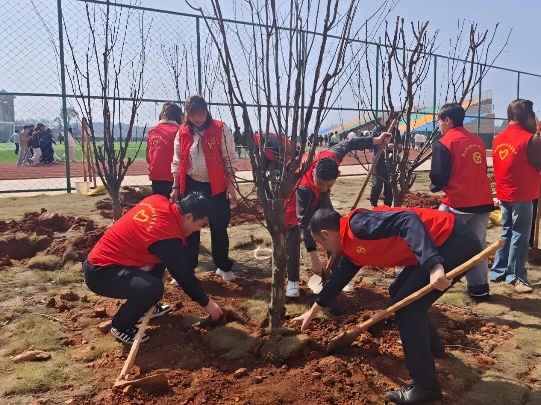 1773883341322329.jpg 1773883341322329.jpg