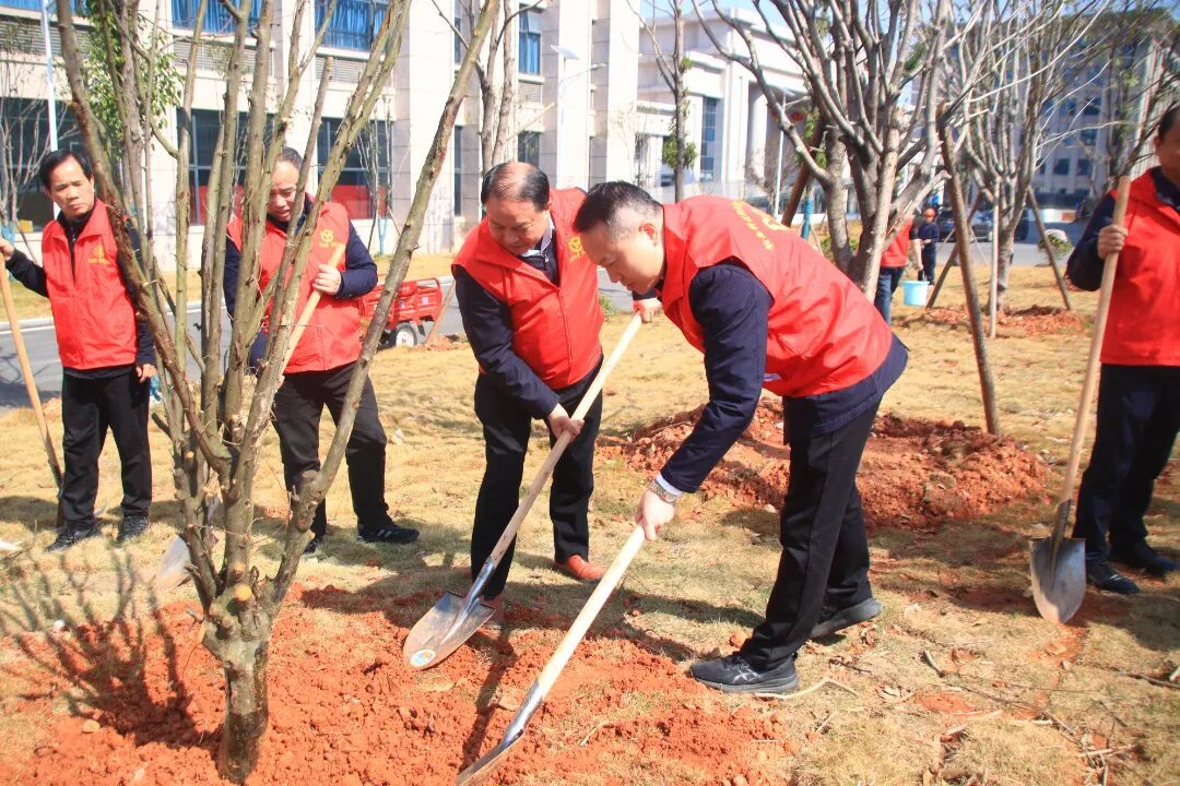 1773883426245144.jpg 1773883426245144.jpg