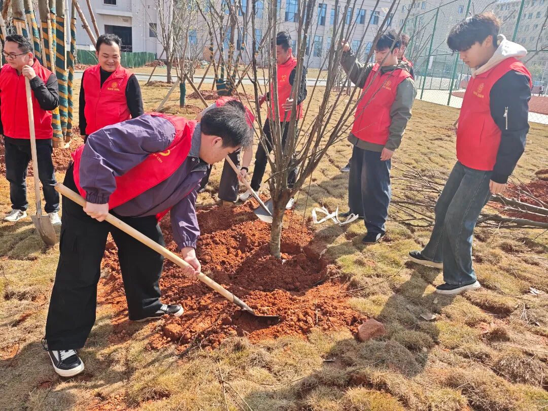 1773883437136274.jpg 1773883437136274.jpg