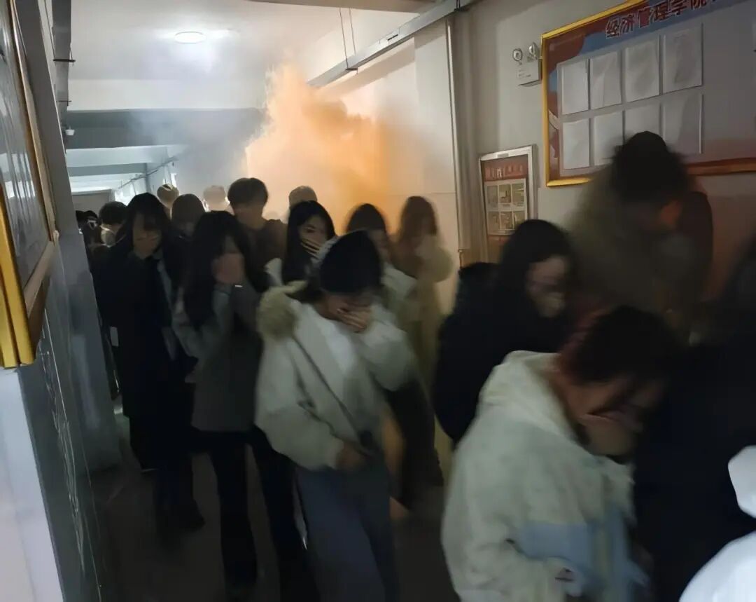 1773884627879646.jpg 1773884627879646.jpg