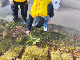 1774834568808790.png 1774834568808790.png