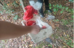 1774944410703144.png 1774944410703144.png