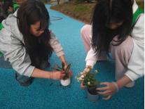 1775009281930445.png 1775009281930445.png